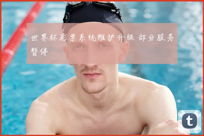 世界杯彩票系统维护升级 部分服务暂停